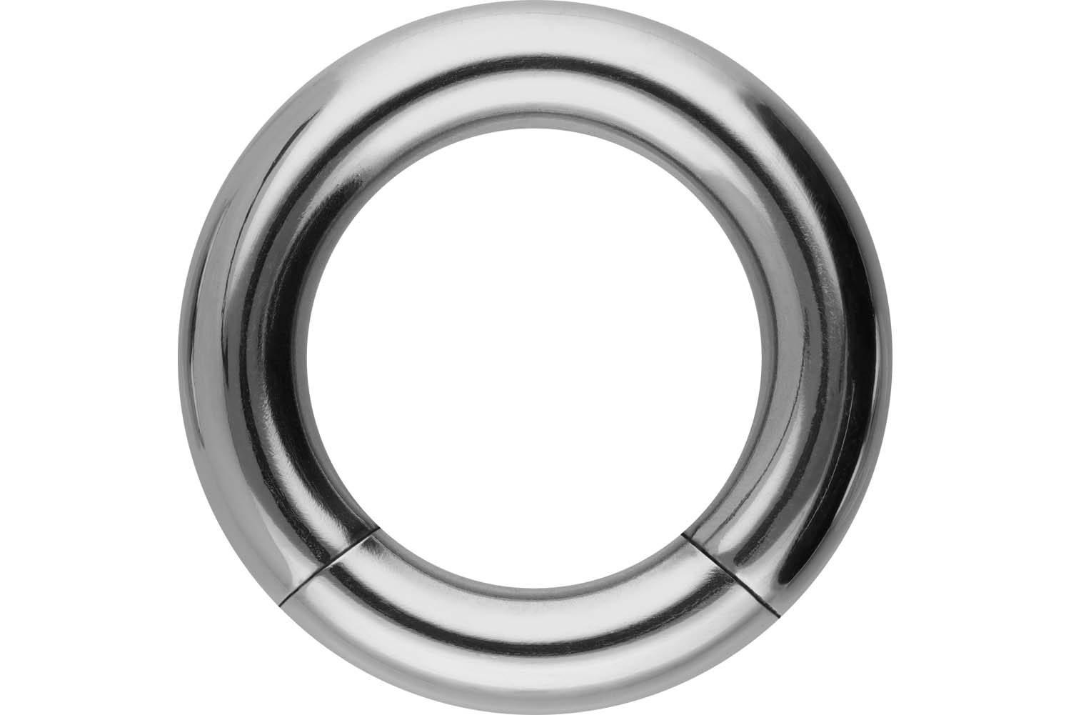 Titan Segmentring von Piercingline